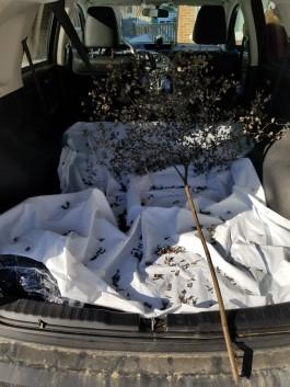 Collective Communities